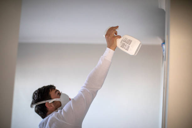 Best Mold Cleaning Services  in Shepherdsville, KY
