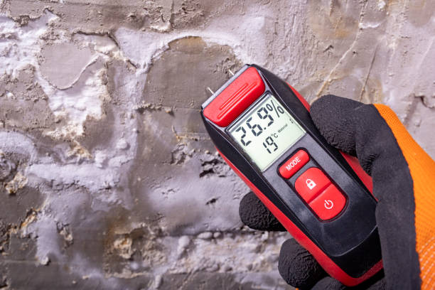 Best Mold Testing and Removal  in Shepherdsville, KY