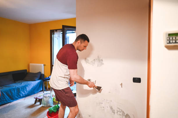 Best Commercial Mold Removal  in Shepherdsville, KY